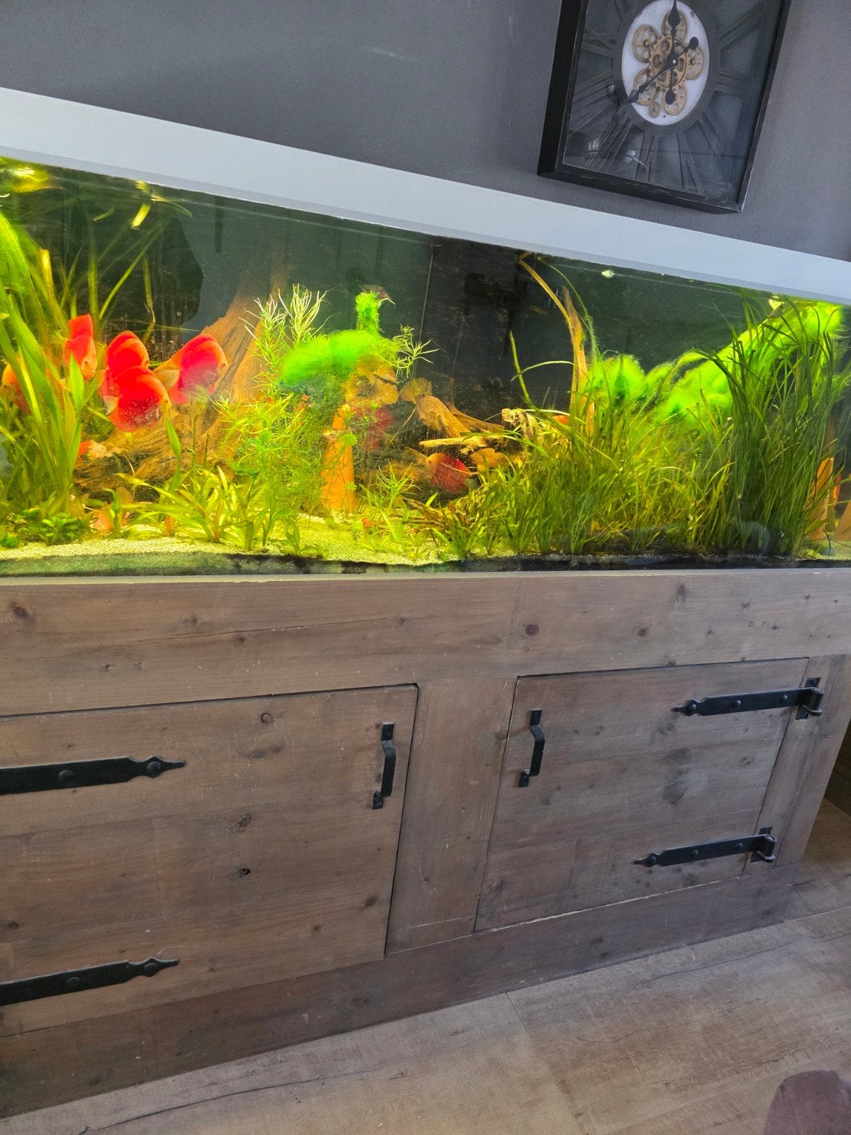 akvastabil fusion aquarium 200, Dieren en Toebehoren, Ophalen, Gebruikt, Overige merken, Inclusief deksel
