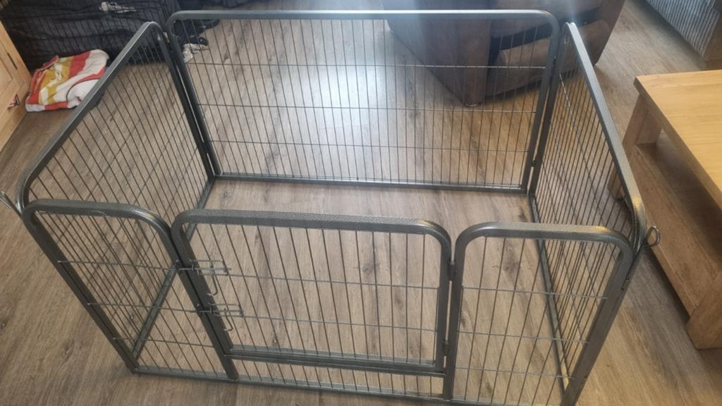 Puppy ren, Ophalen of Verzenden, Nieuw, 110 cm of meer, Minder dan 65 cm