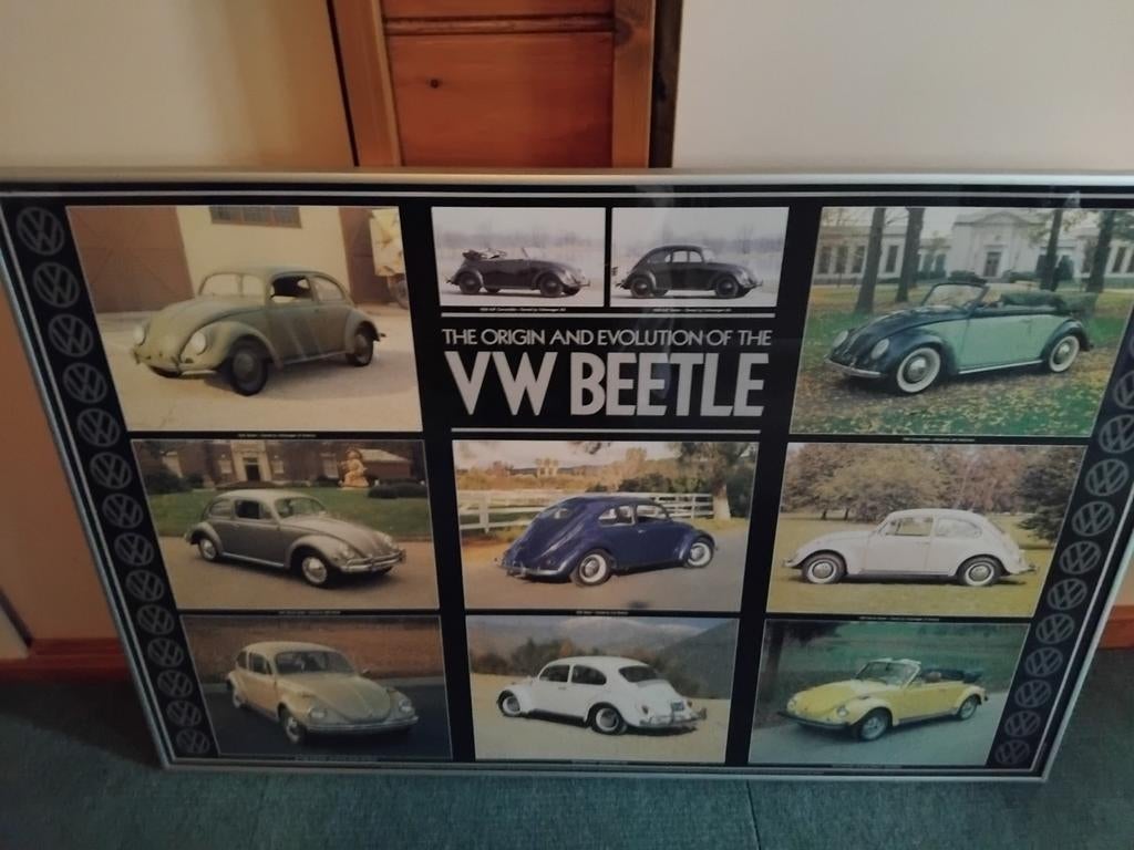 Mooie kever poster, Ophalen of Verzenden, A1 t/m A3