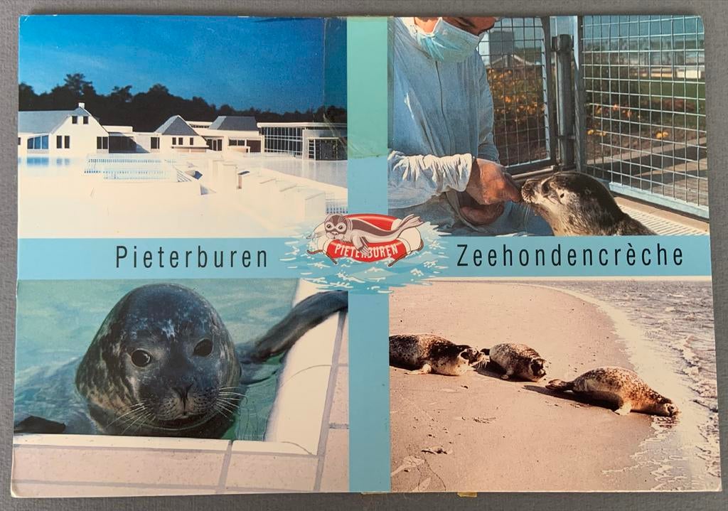 Zeehondencrèche Pieterburen, Verzamelen, Ansichtkaarten | Nederland, Verzenden, 1980 tot heden, Gelopen, Groningen