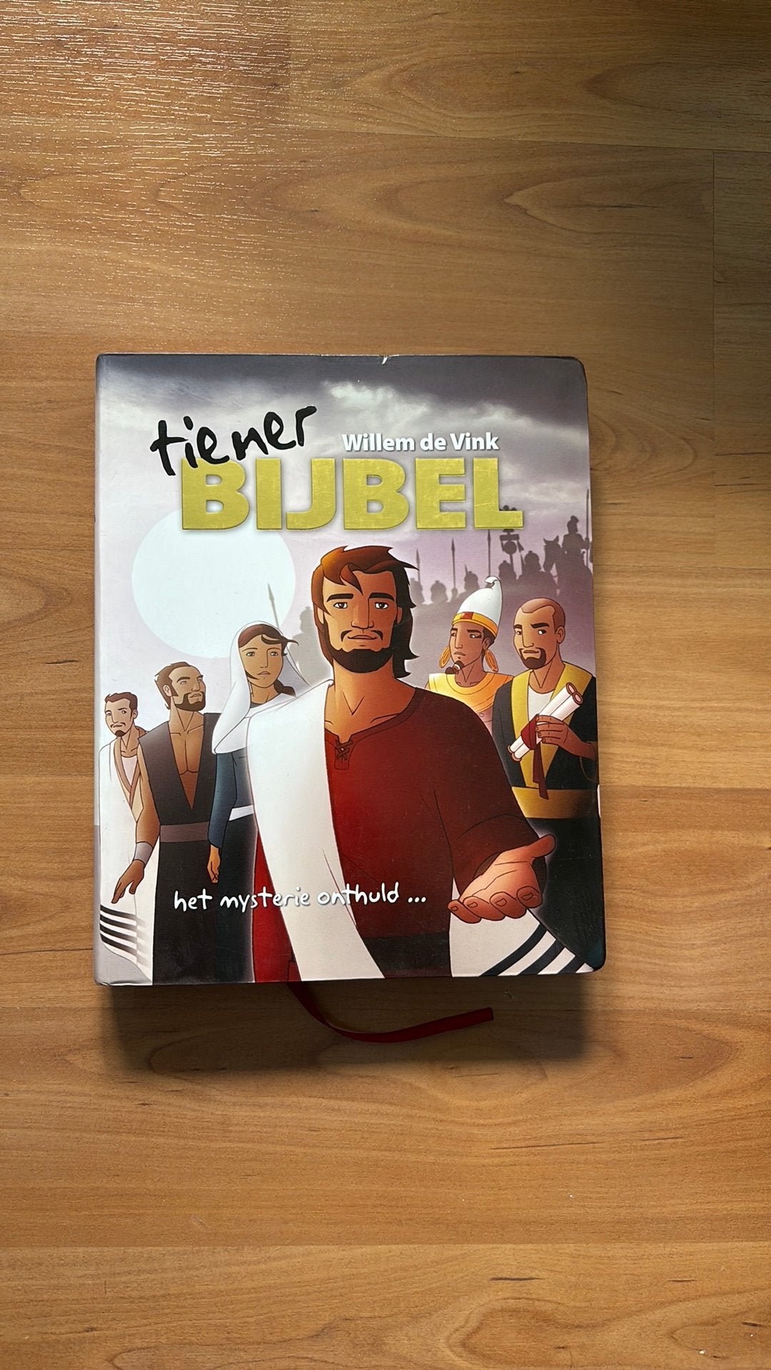 Willem de Vink - Tienerbijbel, Non-fictie, Willem de Vink, Ophalen of Verzenden, Zo goed als nieuw