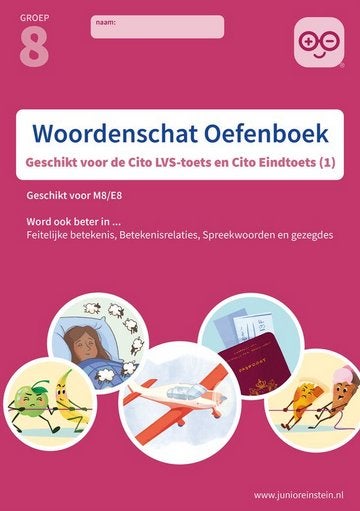 Woordenschat oefenboek deel 1 (groep 8), Ophalen, Zo goed als nieuw, Overige niveaus, Nederlands