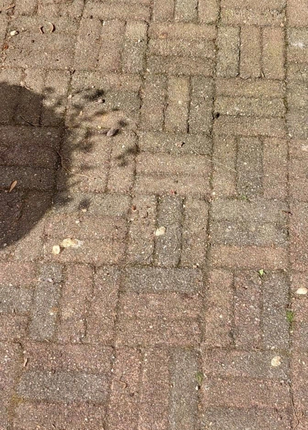 Gratis gebruikte klinkers - 13m² voor oprit/terras, Ophalen, Overige materialen, Gebruikt, Overige typen