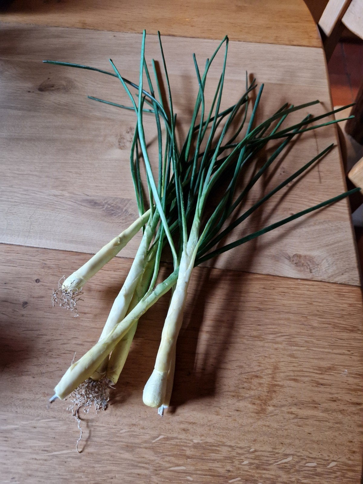 NEP DECORATIE BOS LENTE UI 🧅🧅 KEUKEN DECORATIE, Huis en Inrichting, Ophalen of Verzenden