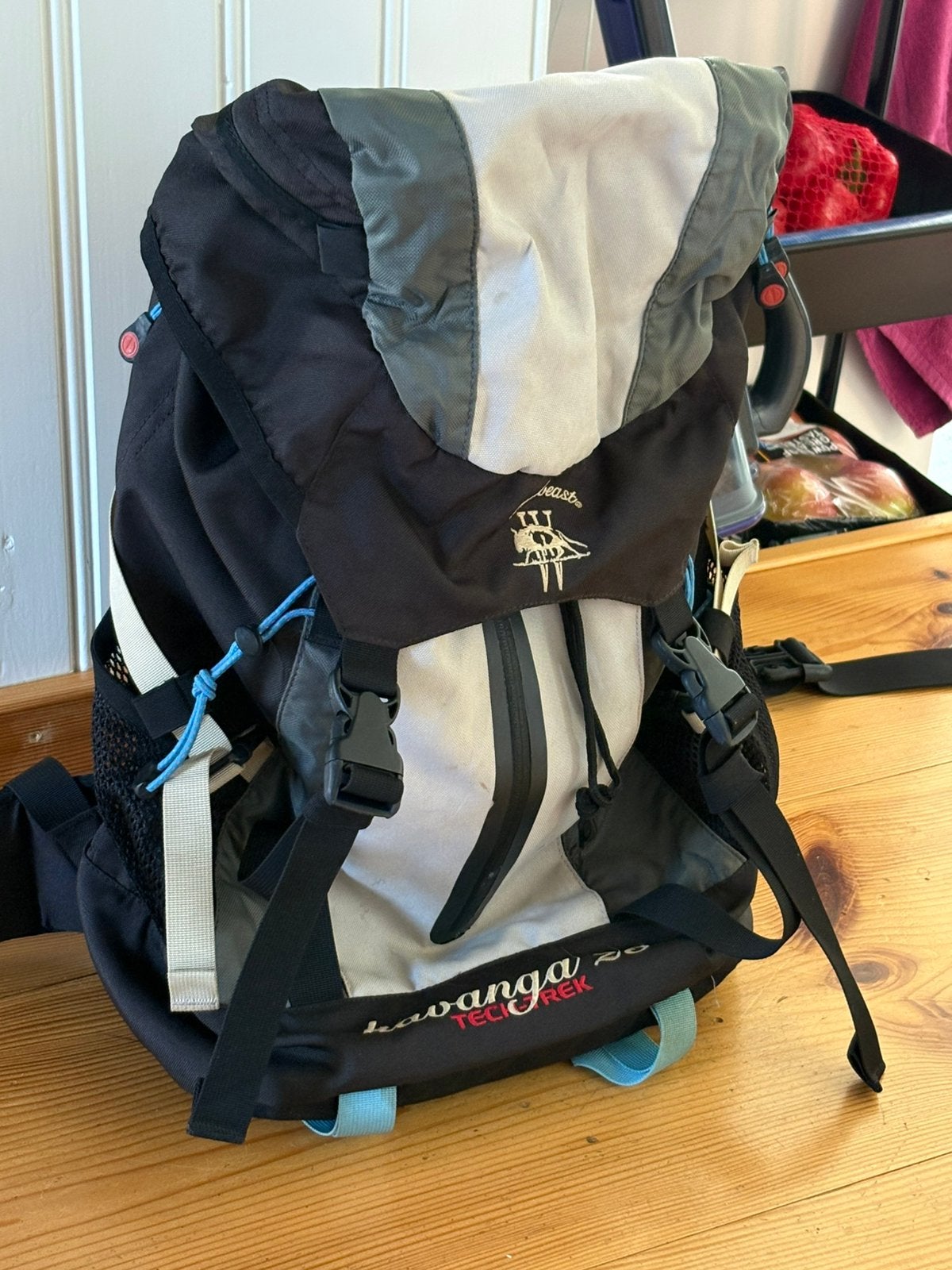 Trekking rugzak, Sieraden, Tassen en Uiterlijk, Gebruikt, 25 tot 40 cm, Trekking, Eastpak