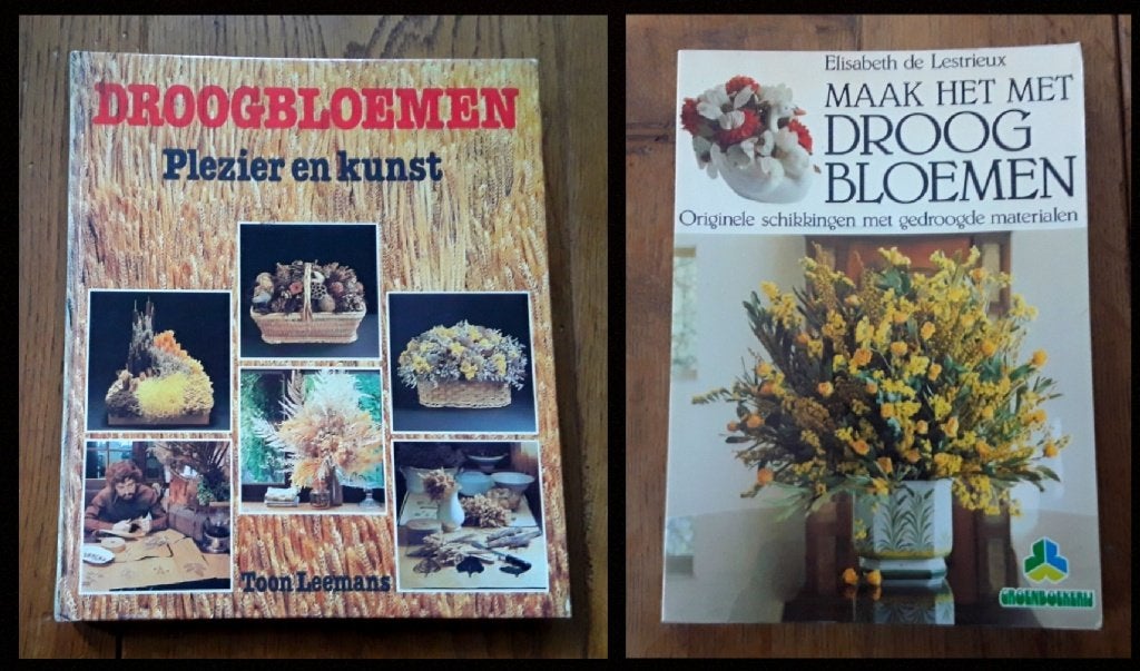Boeken over bloemschikken met droogbloemen, Boeken, Wonen en Tuinieren, Ophalen of Verzenden, Gelezen, Elisabeth de Lestrieux, Toon Leemans
