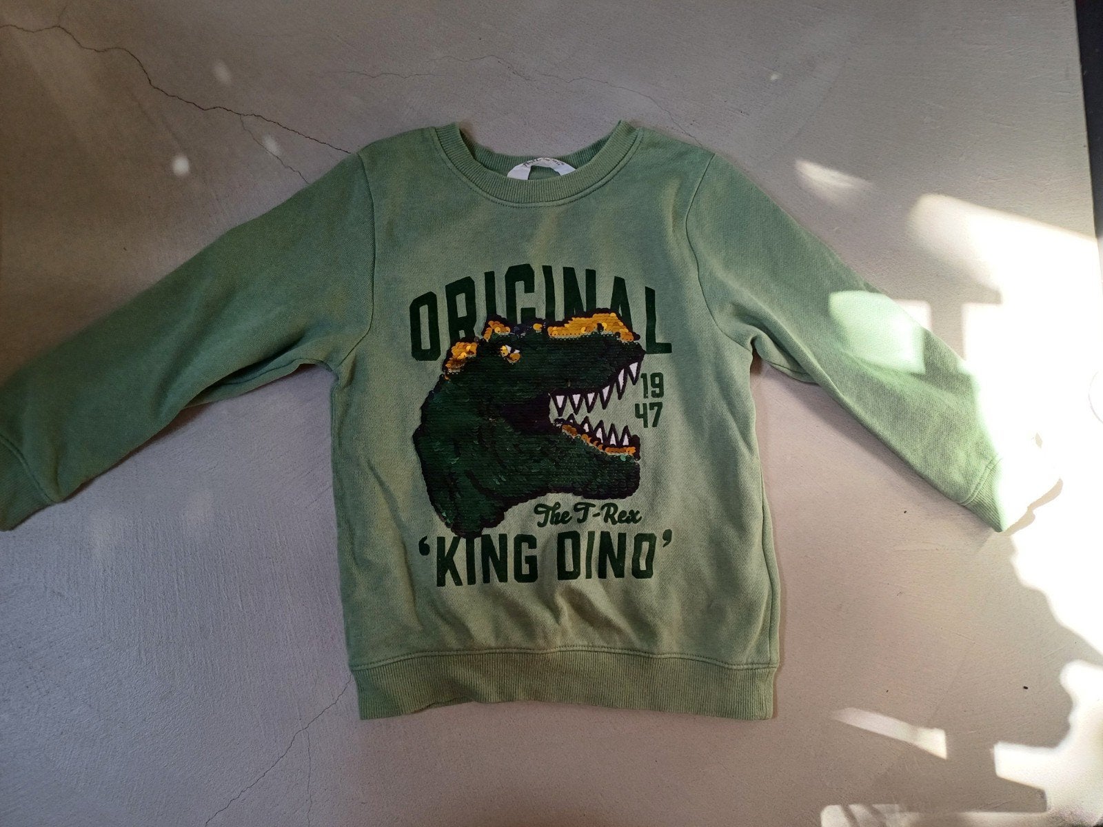 Dino trui~110/116, Kinderen en Baby's, Gebruikt, Jongen of Meisje, Trui of Vest, H&M