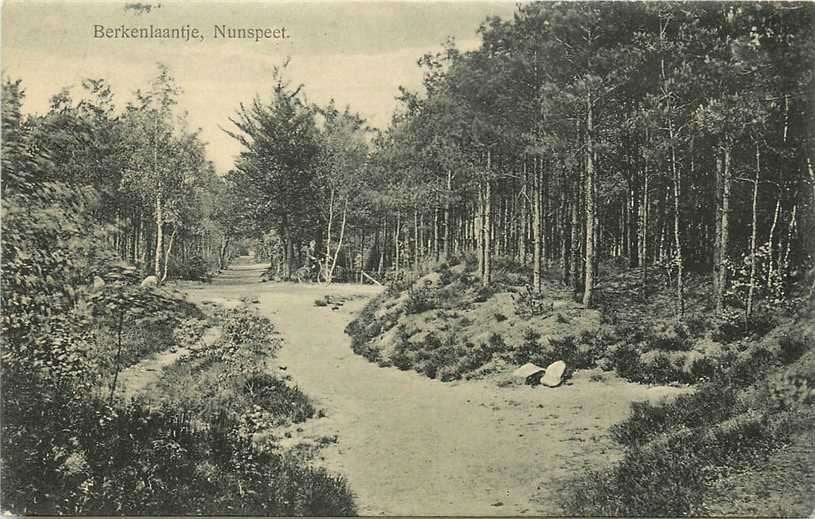 380-829-029 Nunspeet Berkenlaantje, Verzenden, Voor 1920, Gelderland