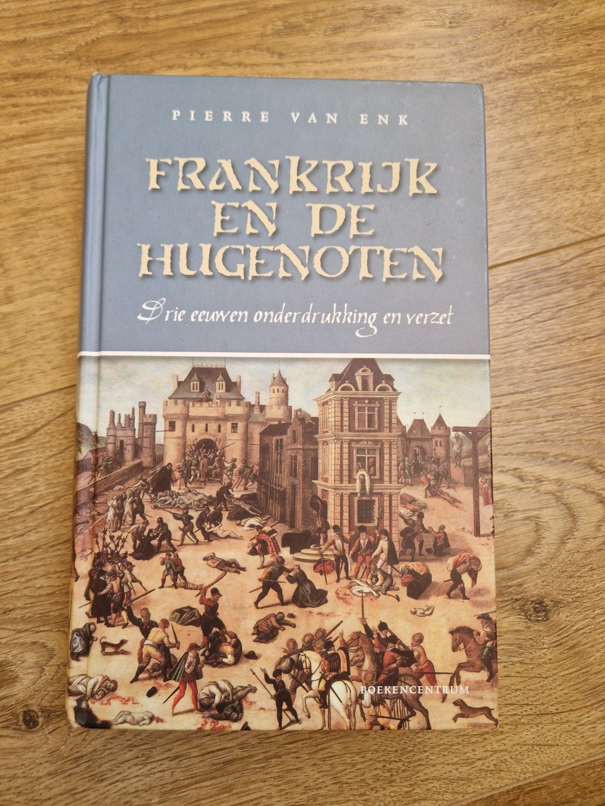 P.L. van Enk - Frankrijk en de hugenoten, Boeken, P.L. van Enk, Europa, Ophalen of Verzenden, Zo goed als nieuw