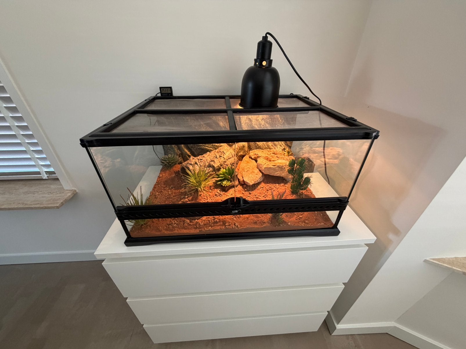 Compleet terrarium + toebehoren, Ophalen, Zo goed als nieuw