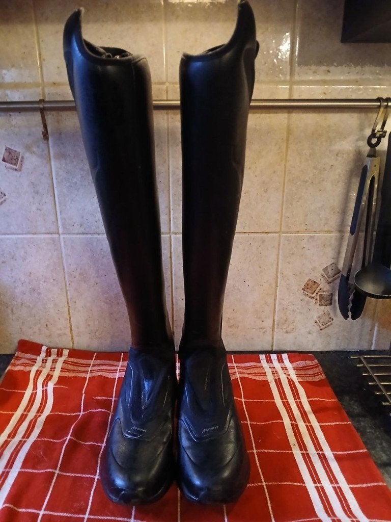 Ariat Ascent Tall Riding Boot, Ritssluiting, Zwart, Dames, Schoeisel