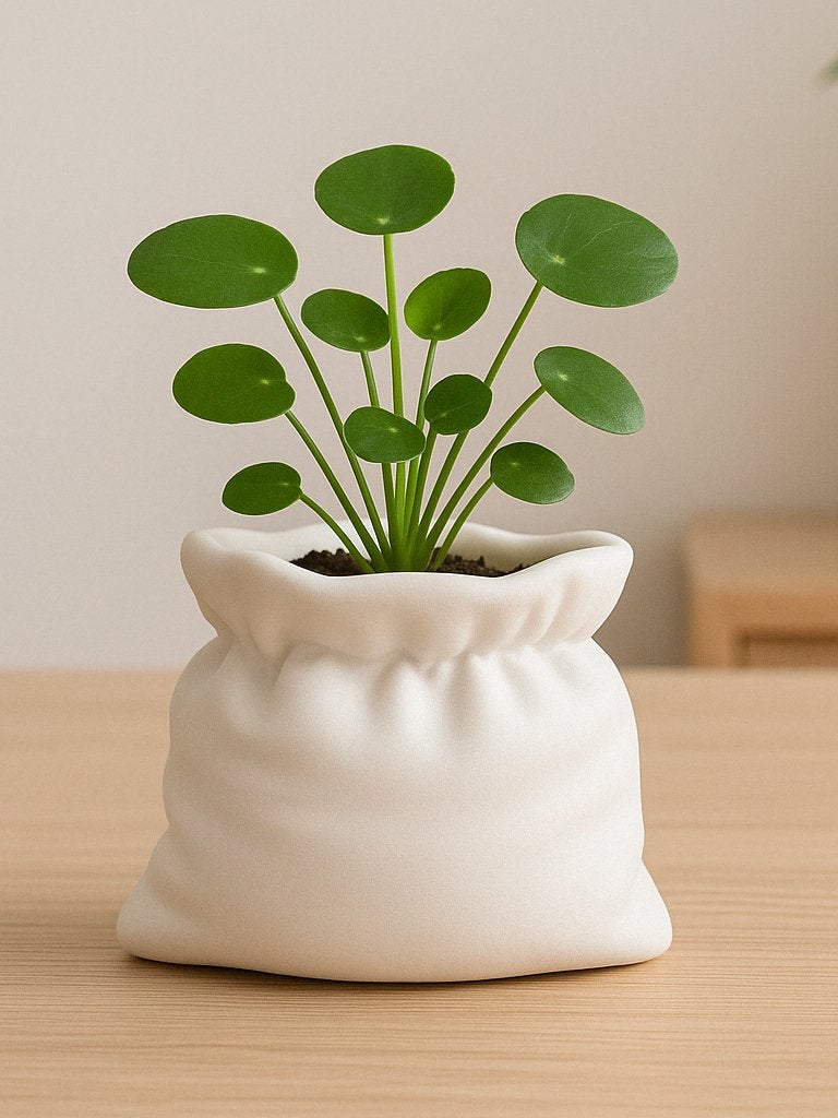 Witte zakvormige bloempot, Ophalen of Verzenden, Overige vormen, Aardewerk, Binnen