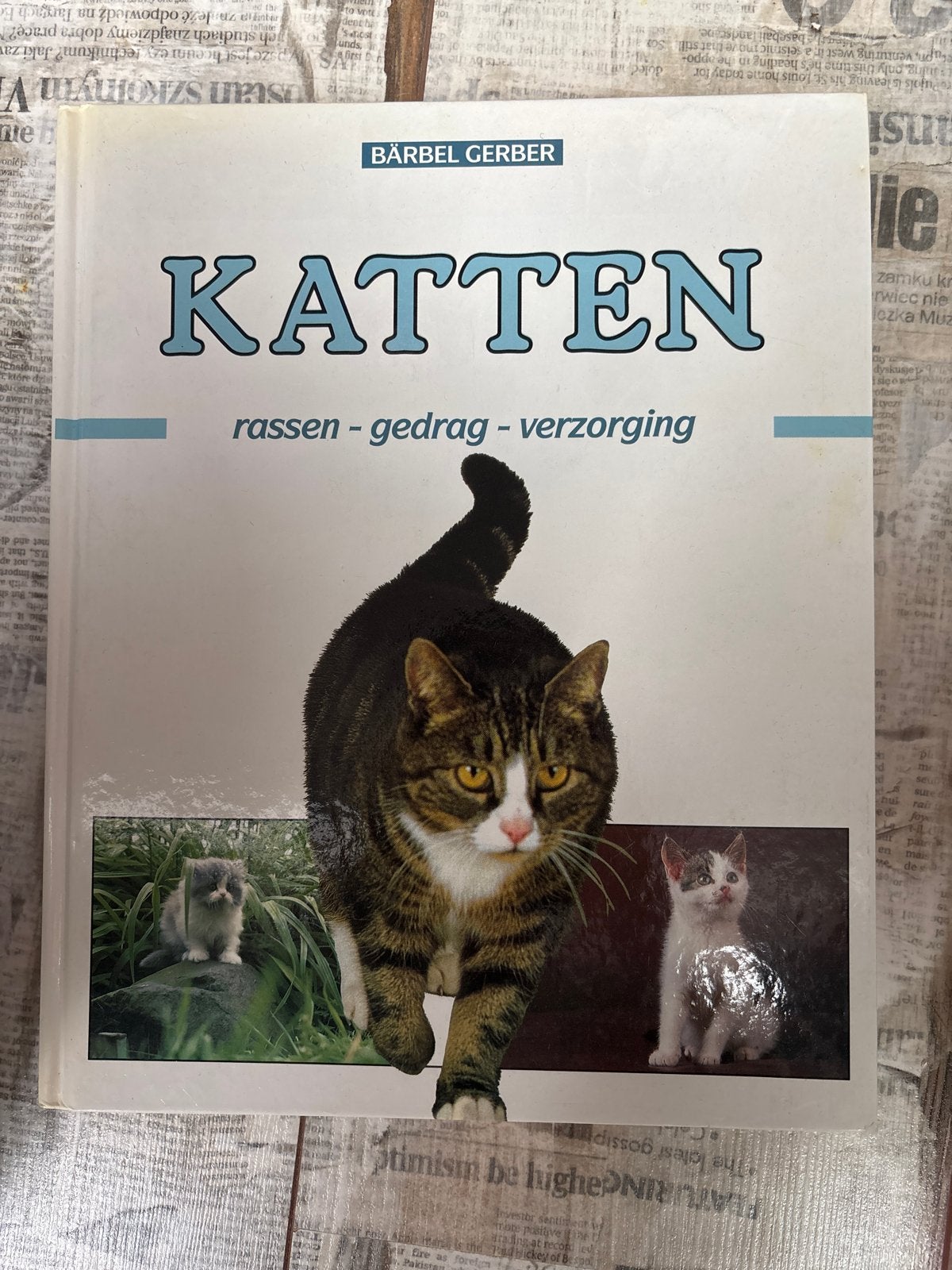 Katten: Rassen, Gedrag en Verzorging - Bärbel Gerber, Ophalen, Gelezen, Katten