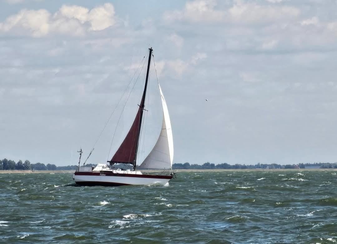 Wibo 945 populair,  staal, 9.35x3.00x1.50 wit met rode bies., Watersport en Boten, 9 m, Gebruikt, Binnenboordmotor, Tourjacht of cruiser
