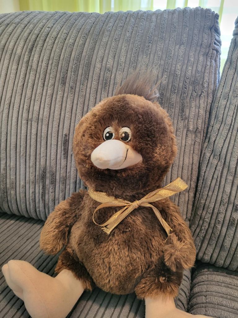 Kiwi knuffel pop, Ophalen, Gebruikt, Vogel, Beeldje of Figuurtje