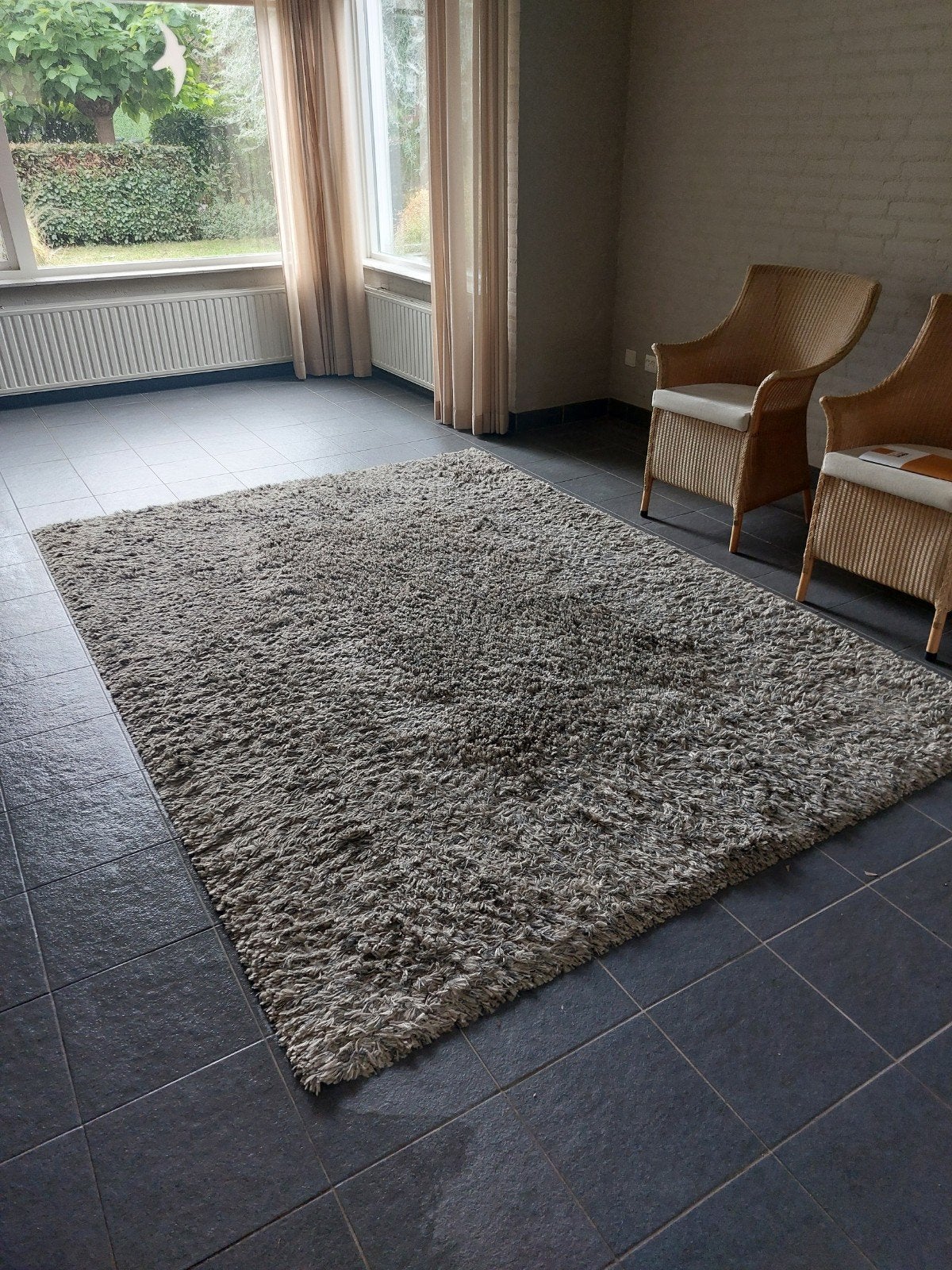 vloerkleed, Ophalen, Grijs, Rechthoekig, 200 cm of meer
