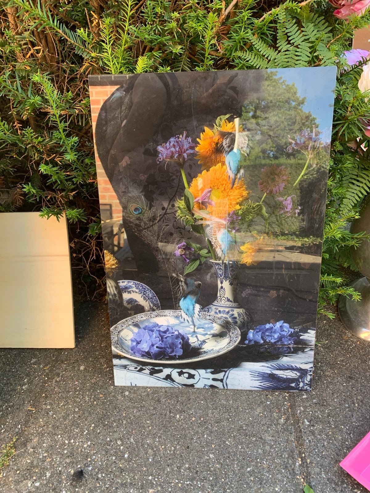 Mooie foto op plexiglas geprint, 50 – 75, Minder dan 50 cm, Ophalen of Verzenden, Zo goed als nieuw