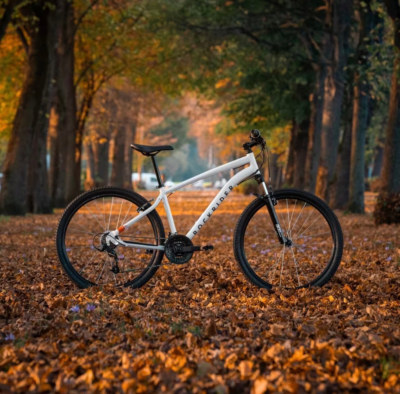 Foto 2 van Rockrider exl50 Mountainbike 1 jaar oud - Uniseks Frame