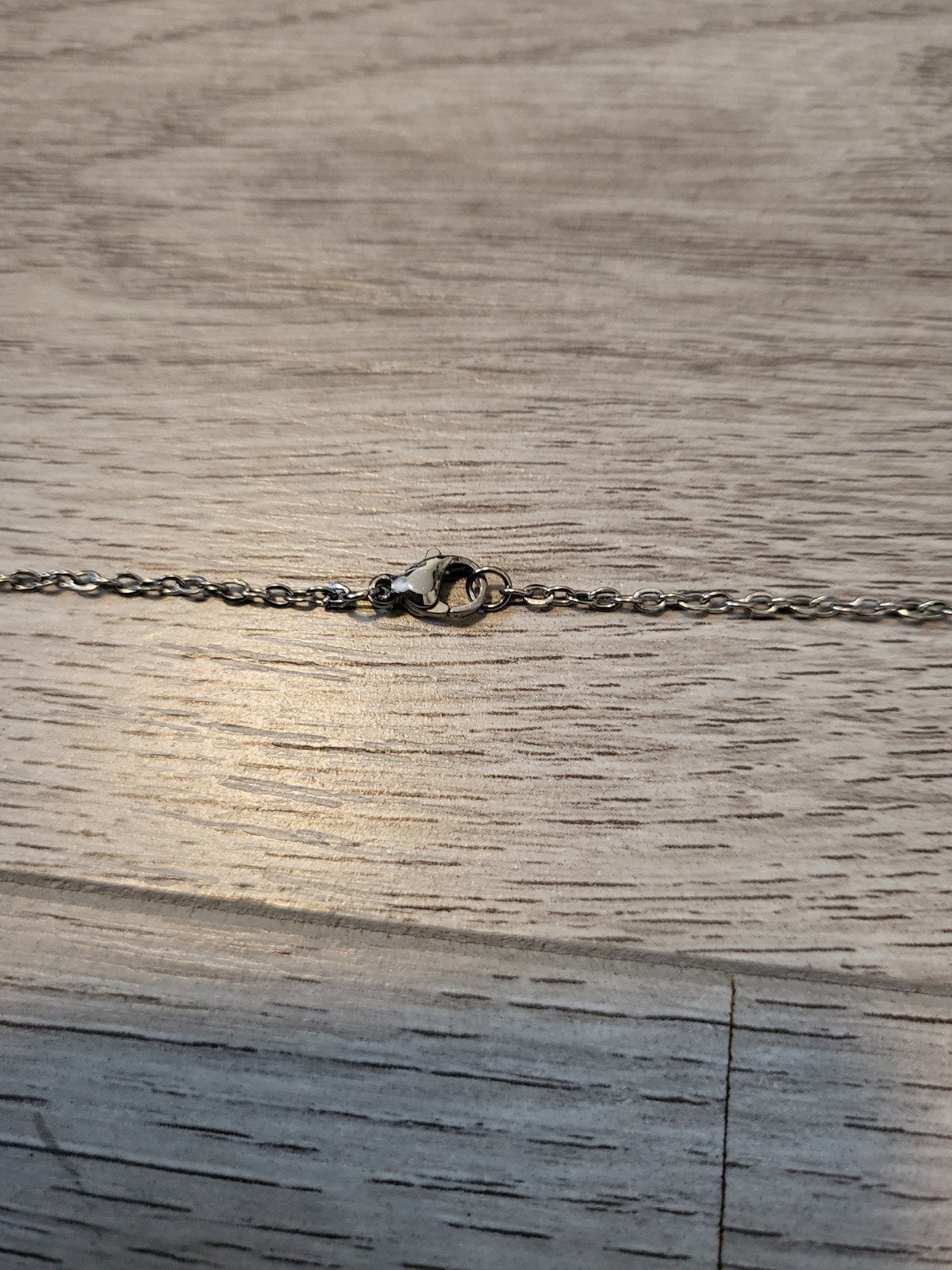 Nieuwe Ketting met Tand Hanger - Vliegende Tand, Met hanger, Nieuw, Ophalen of Verzenden, Zilver