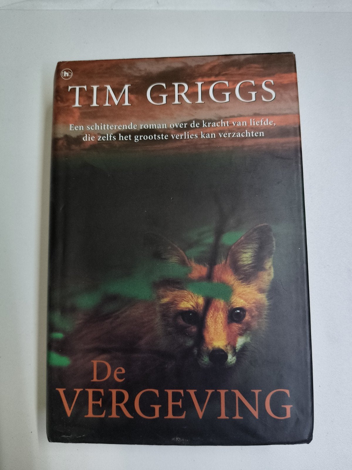 De Vergeving - Tim Griggs (Roman), Boeken, Ophalen of Verzenden, Gelezen, Tim Griggs, Nederland