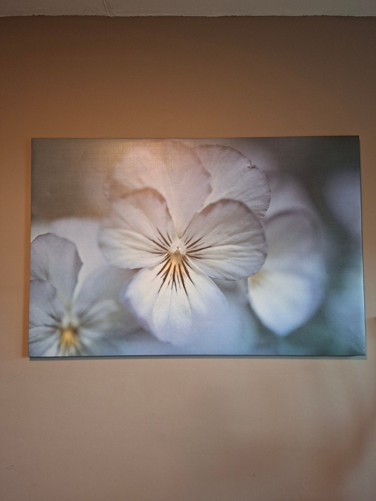 Brattby foto op canvas viooltje - Gebruikt, Ophalen, Gebruikt, 100 tot 125 cm, Foto of Poster