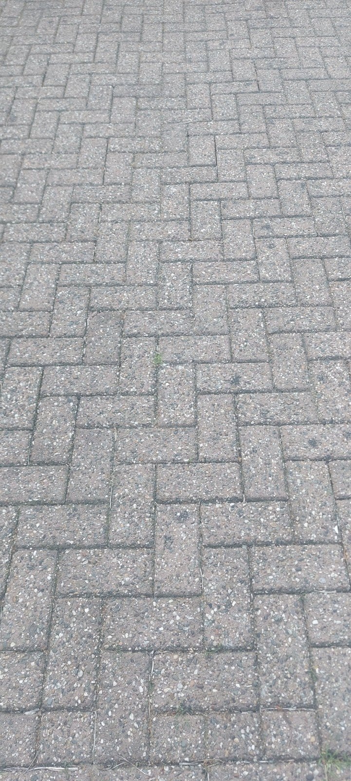 Gratis  betonklinkers rood., Tuin en Terras, Tegels en Klinkers, Ophalen, Gebruikt, Klinkers, 10 m² of meer