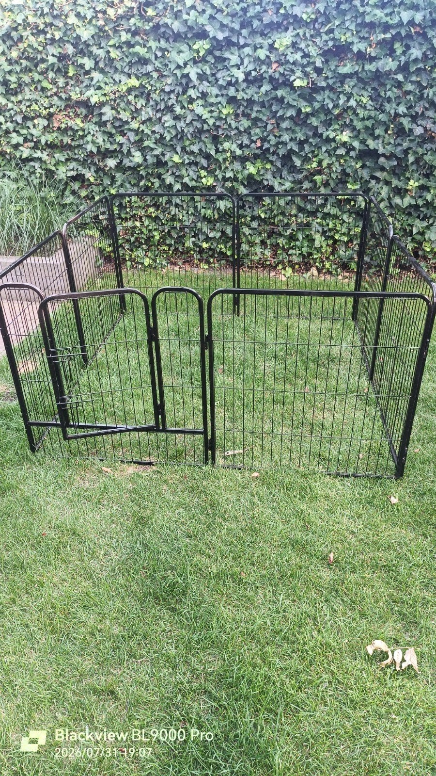 Puppyren, Ophalen, Zo goed als nieuw