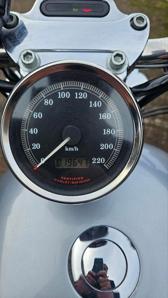 Sportster XL1200c  Zilver metallic met rode belijning ., Particulier, Chopper