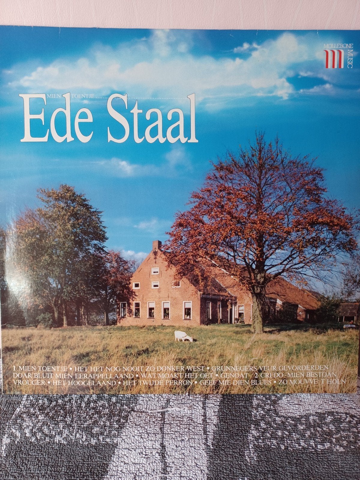 langspeelplaat Ede Staal, Cd's en Dvd's, Ophalen of Verzenden, Gebruikt, Levenslied of Smartlap