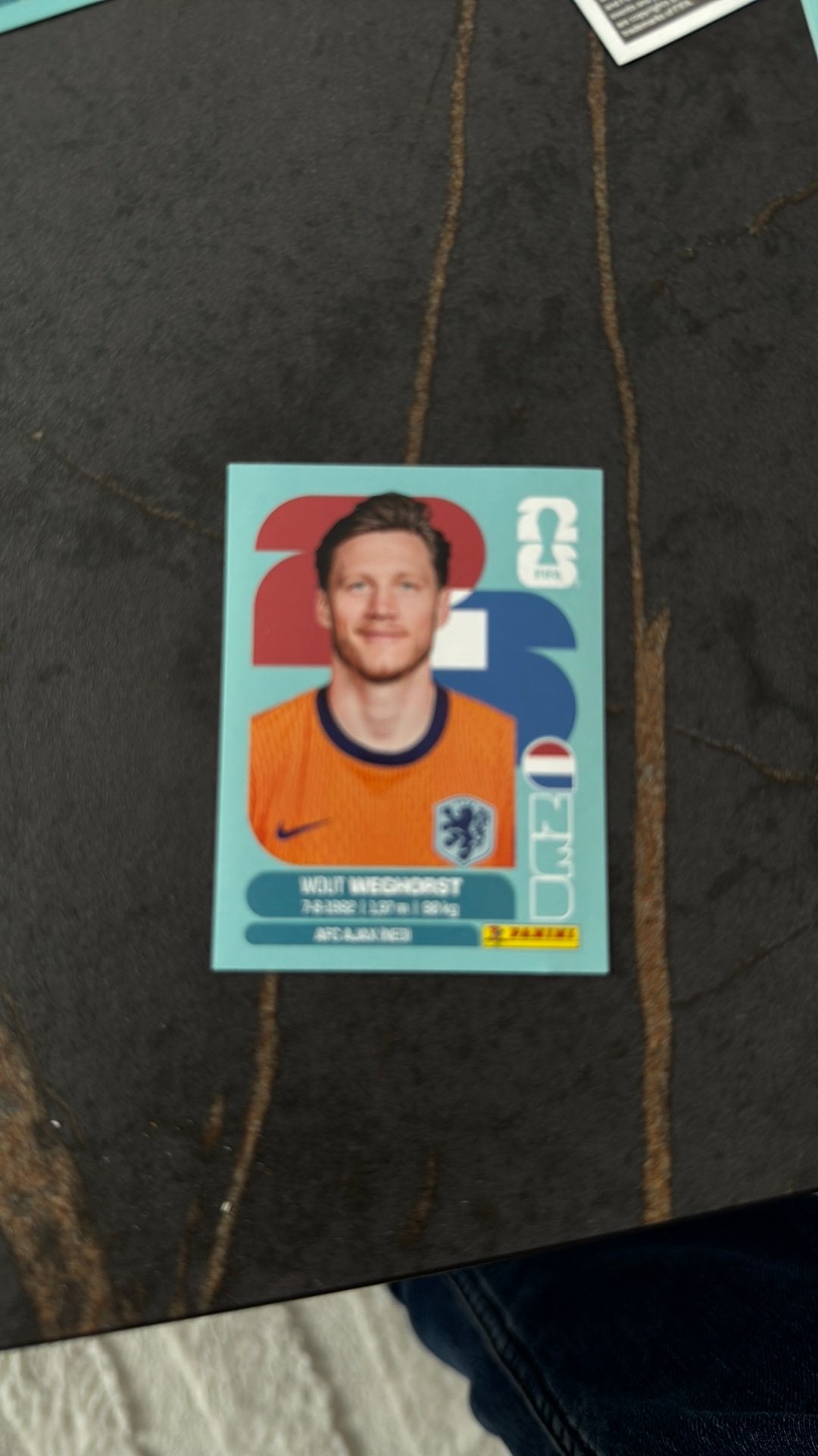 Wout weghorst Panini, Ophalen, Zo goed als nieuw, Plaatje