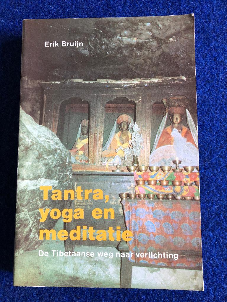Erik Bruijn - Tantra, yoga en meditatie, Ophalen of Verzenden, Zo goed als nieuw