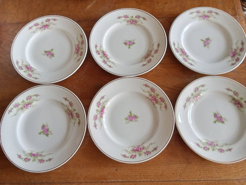 te koop 6 prachtige gebaksbordjes van petrus regout, Ophalen of Verzenden
