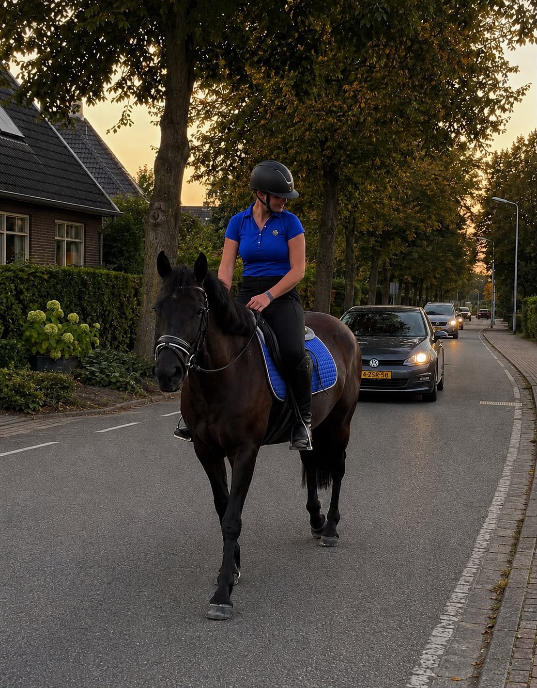 Lieve brave kinder / beginner 💛, 3 tot 6 jaar, Recreatiepony, Merrie, E pony (1.48m - 1.57m)
