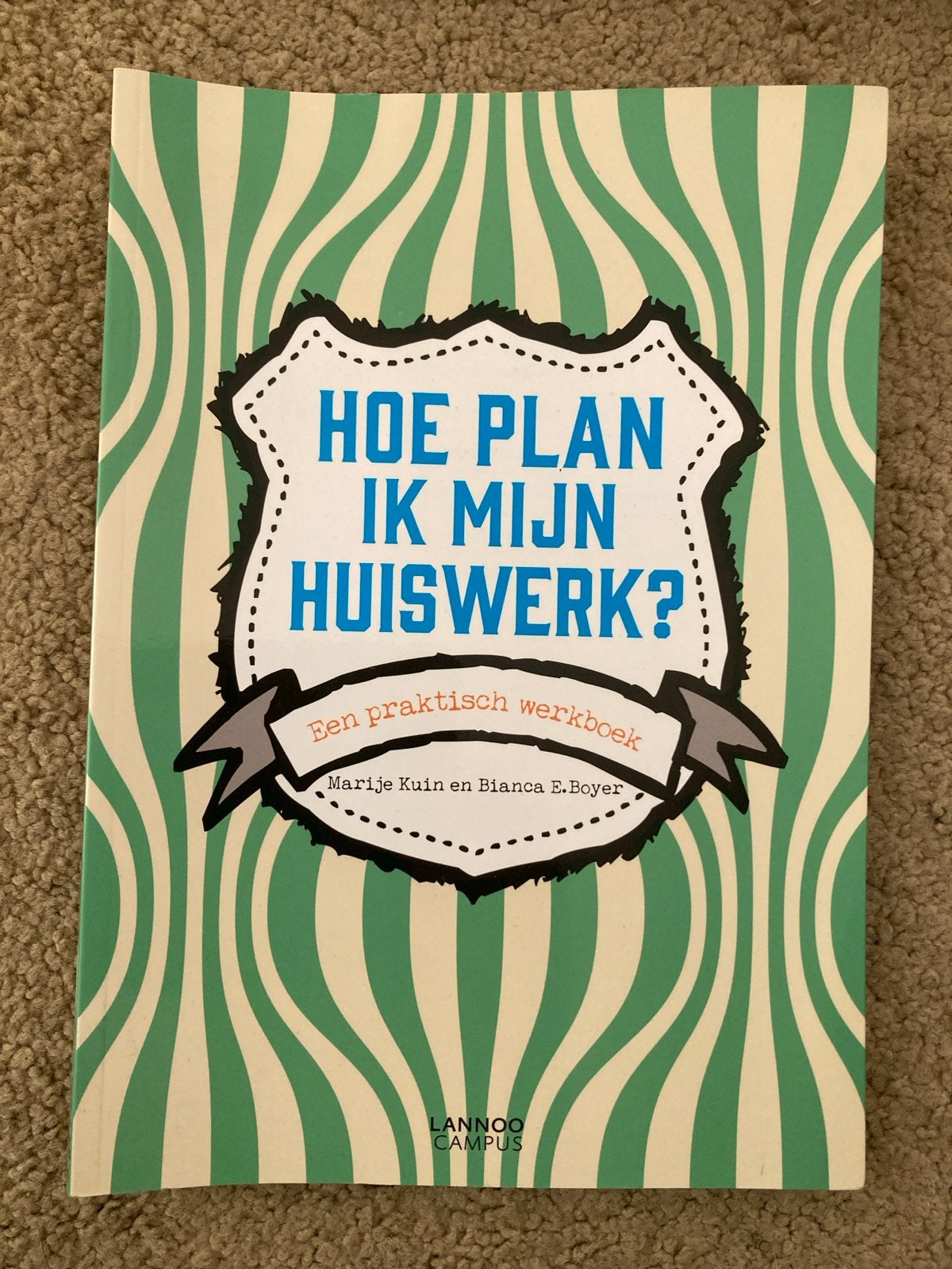 Hoe plan ik mijn huiswerk? Een praktisch werkboek, Ophalen of Verzenden, Gamma, Zo goed als nieuw, Overige niveaus