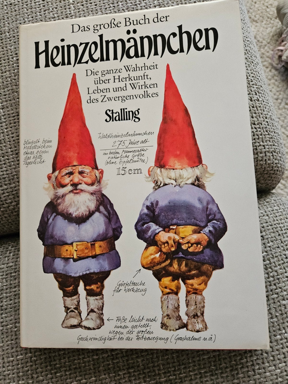 rien poortvliet Het Grote Boek van de Heinzelmännchen  Stall, Boeken, Prentenboeken en Plaatjesalbums, Ophalen of Verzenden