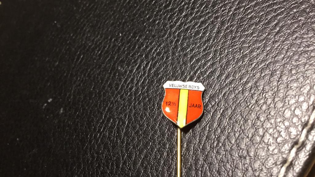 Voetbalspeld Veluwse Boys, Ophalen of Verzenden, Gebruikt, Overige onderwerpen