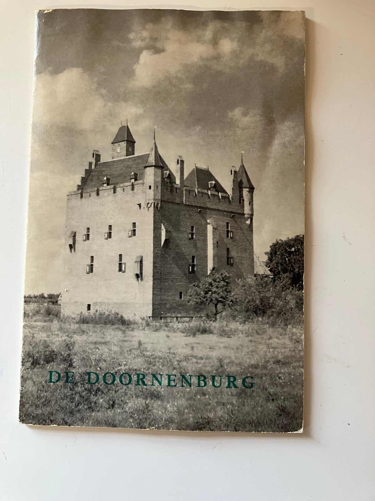 De Doornenburg - Historisch Kasteelboekje, Boeken, Ophalen of Verzenden, 20e eeuw of later, Gelezen