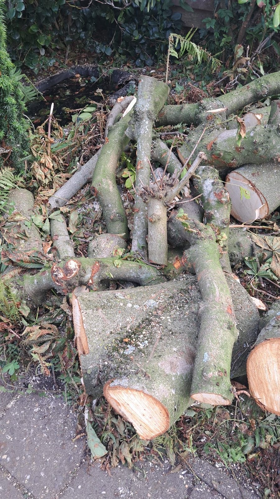 Gratis brandhout kastanje, Tuin en Terras, Haardhout, Minder dan 3 m³, Ophalen