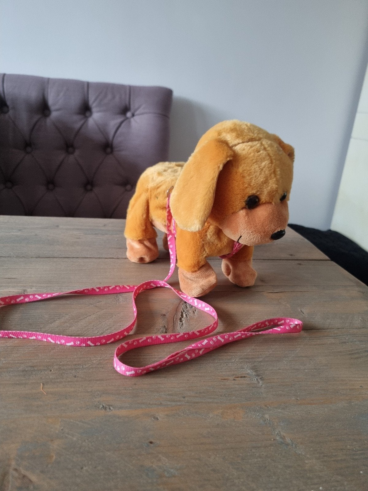 Gratis speelgoedhond, Ophalen, Zo goed als nieuw