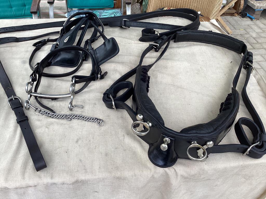 Mentuig leer enkelspan pony, Ophalen of Verzenden, Gebruikt, Recreatie