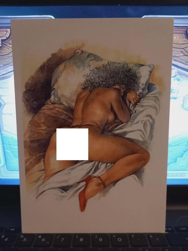 7x erotische druuna prenten 15 euro alleen deze week, Boeken, Meerdere stripboeken, Ophalen of Verzenden, Nieuw