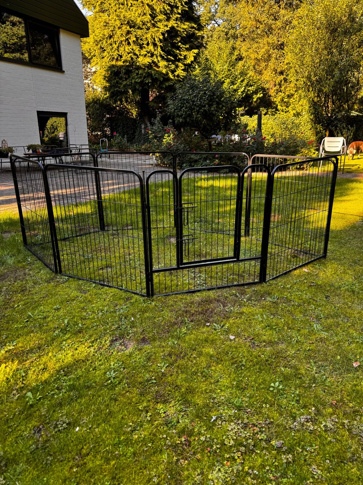 Puppyren hondenren 8 panelen 80-80 cm, Ophalen, Gebruikt, Hondenren