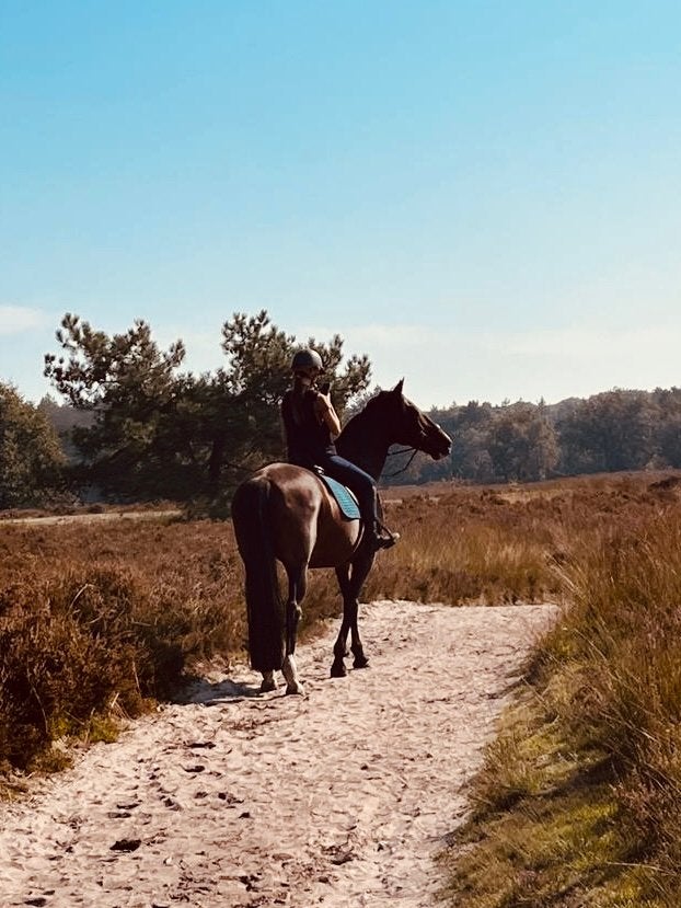 Verzorg/bijrijd paard gezocht!, Dieren en Toebehoren, Paarden en Pony's | Verzorgingsproducten, Ophalen of Verzenden