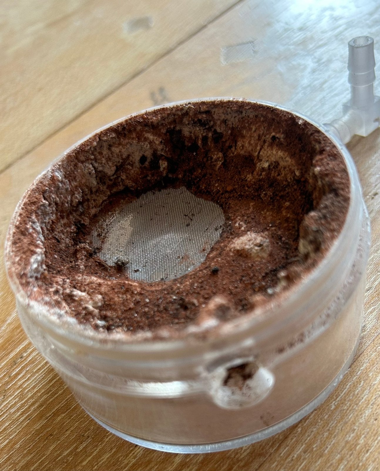 Mieren nesten / mieren ant kolonie
