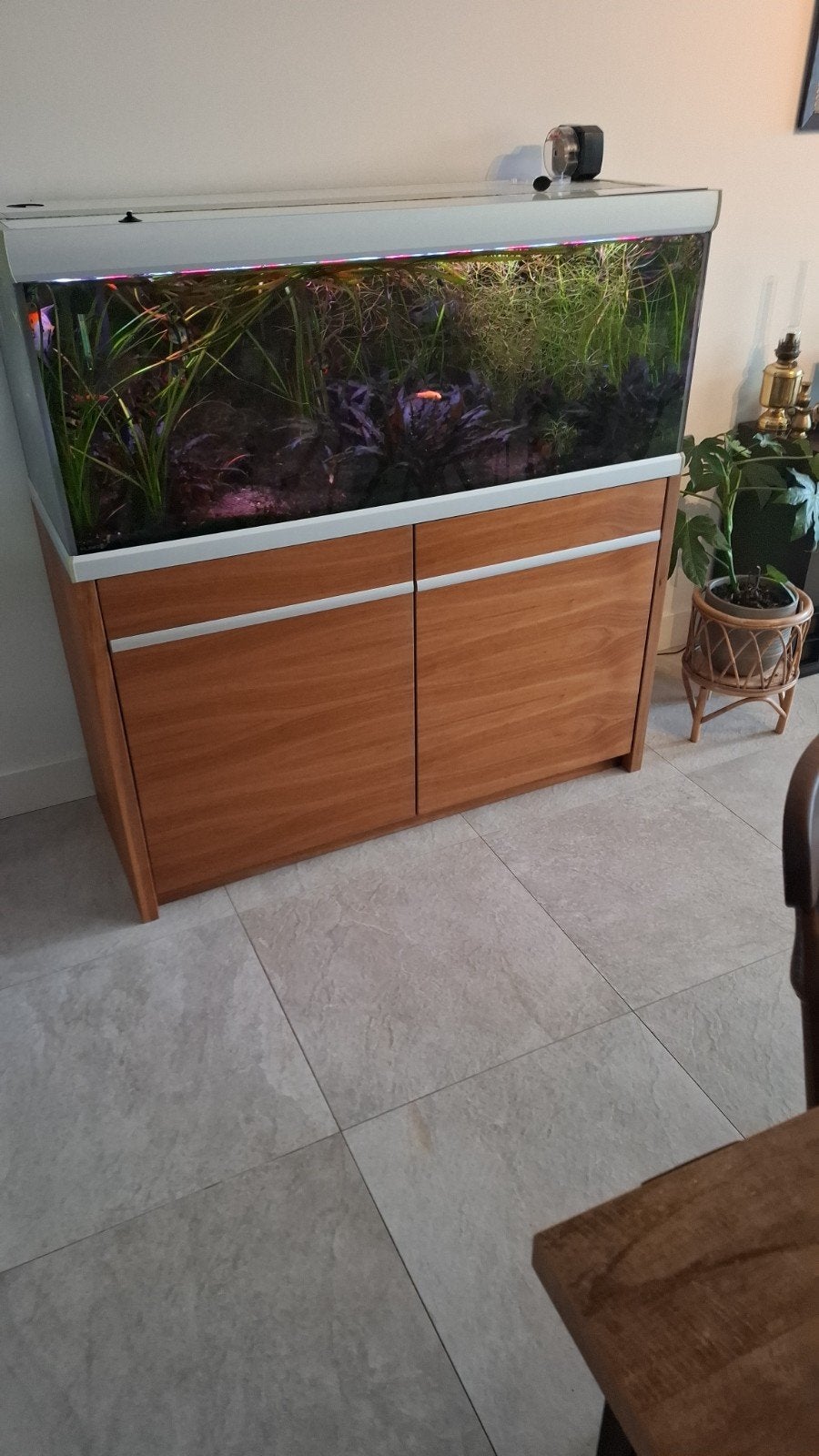 supermooi aquarium met prachtige kast³, Ophalen, Zo goed als nieuw, Leeg aquarium