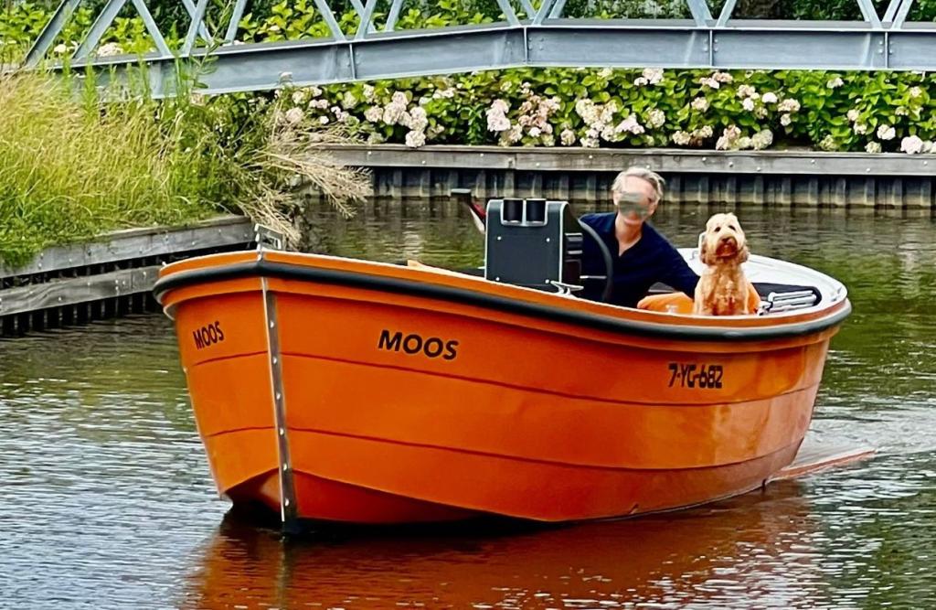 Waterdream S-550 aluminum sloep Tender (bj 2021), Info@wehmeyer.nl, Gebruikt, Waterdream sluminium Bob sloepen, Benzine