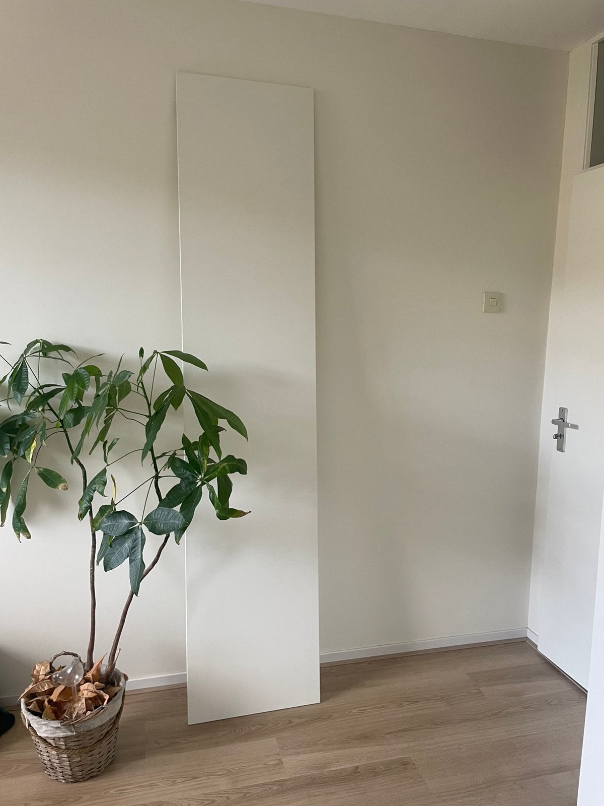 IKEA PAX kast deur FORSAND (wit | 50x229 cm), Ophalen of Verzenden, Zo goed als nieuw, Binnendeur, Minder dan 200 cm