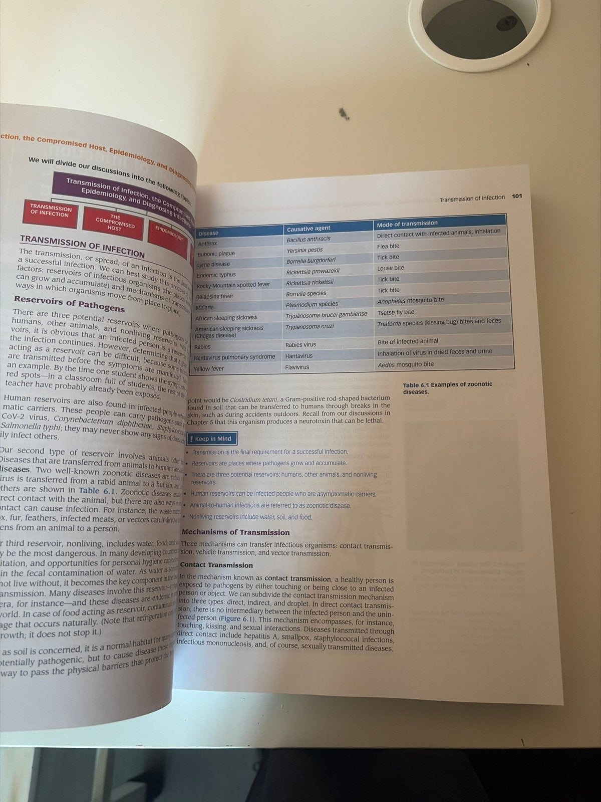 Strelkauskas' Microbiology: A Clinical Approach (3rd Ed.), Boeken, Ophalen of Verzenden, Beta, Zo goed als nieuw, HBO