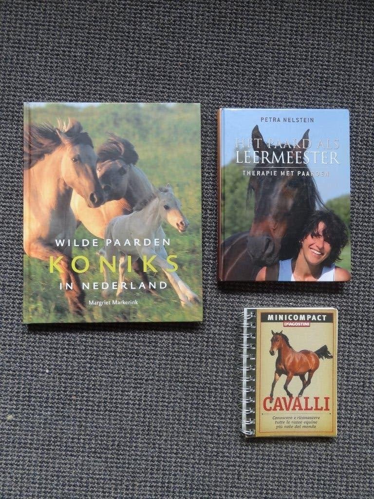 3 boeken over paarden,, Verzenden, Gelezen, Paarden of Pony's
