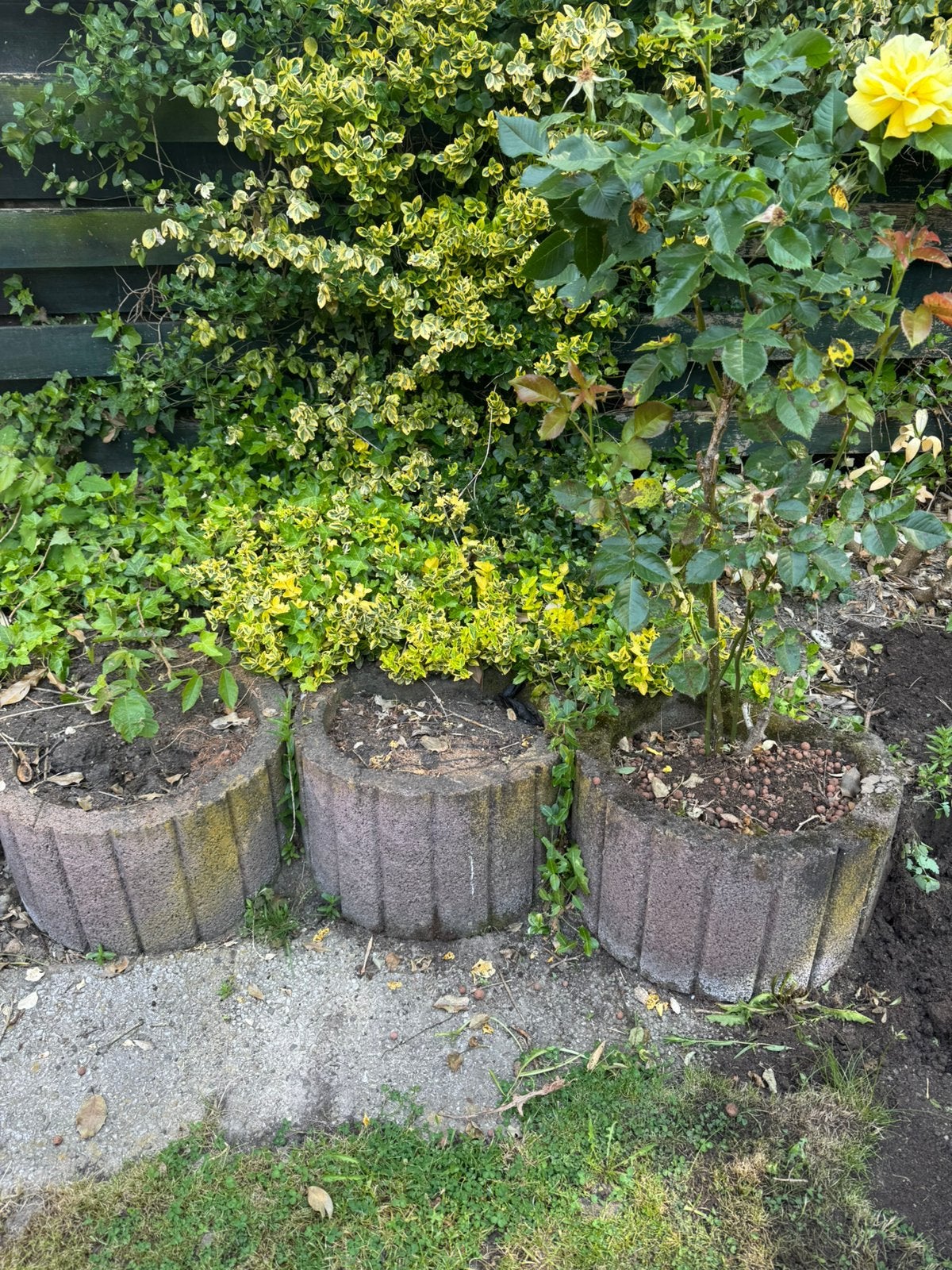 Betonnen Tuin bakken voor border, Ophalen, Minder dan 100 cm